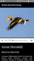 World's Best Bird Songs screenshot 3