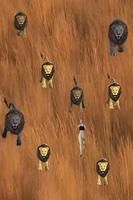 برنامه‌نما Lion Hunting Simulator 2018 عکس از صفحه