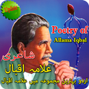 poetry of allama iqbal in urdu best Collection APK