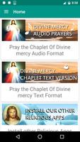 Divine Mercy Audio Prayers Cartaz