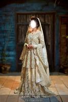 Bridal Mehndi Dresses 截图 2