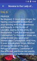 برنامه‌نما Novena to Our Lady of Lourdes عکس از صفحه