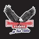 Radio Notte Stereo APK