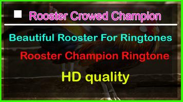 Rooster Crowed Champion Ringtone capture d'écran 1