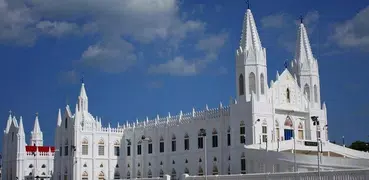 Vailankanni Shrine Live Mass