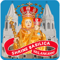 Vailankanni Shrine Live Mass