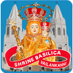 Vailankanni Shrine Live Mass