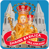 Vailankanni Shrine Live Mass icône