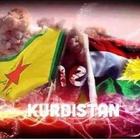 Kurdistan News كوردستان نيوز icono
