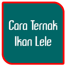 Cara Ternak Ikan Lele APK