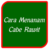 Cara Menanam Cabe Rawit biểu tượng