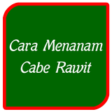 Cara Menanam Cabe Rawit-icoon