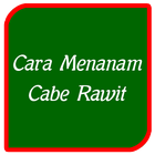 Cara Menanam Cabe Rawit biểu tượng