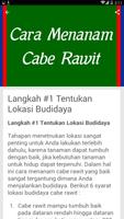 Cara Menanam Cabe Rawit capture d'écran 2