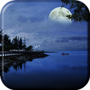 Night Wallpaper APK