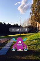 برنامه‌نما Pocket Catch Map عکس از صفحه