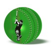 Live Cricket Scrore & News