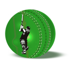 Live Cricket Scrore & News アイコン