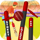 Street Cricket Pro APK
