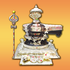 Kurhinshetti icon