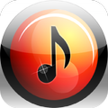 Dilwale song