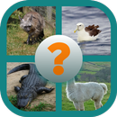 Guess The Animal APK