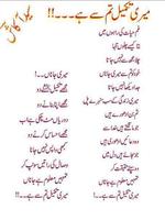 New Urdu Poetry capture d'écran 2