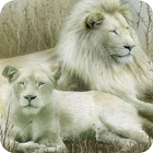 White Lion icon