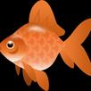 Orange fish game APK
