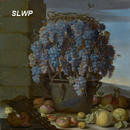 APK Flower basket SLWP
