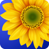 آیکون‌ Photo Gallery