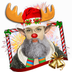 New Year All In One Stickers Pack