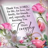 New Year Greeting Cards