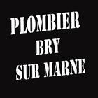 Plombier Bry sur Marne ไอคอน