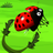 Bug Go Action APK