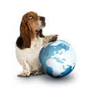 Rastreador - NetBit APK