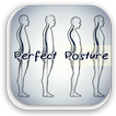 How To Get The Perfect Posture
