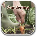 Home Vegetable Gardening Guide 아이콘