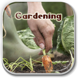 Home Vegetable Gardening Guide आइकन