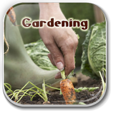 Home Vegetable Gardening Guide icône