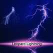 Leopard Lightning
