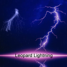 Leopard Lightning ไอคอน