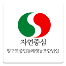 양구토종민들레영농조합법인온 APK