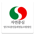 양구토종민들레영농조합법인온 icône