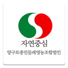 양구토종민들레영농조합법인온 ícone
