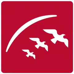 download Sharjah Airport APK