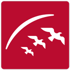 Sharjah Airport icon