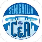 ikon C&A Senigallia