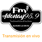 Radio FM Adonay 95.9 icon