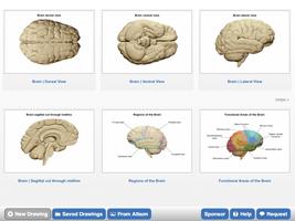 NeuroSketch capture d'écran 1